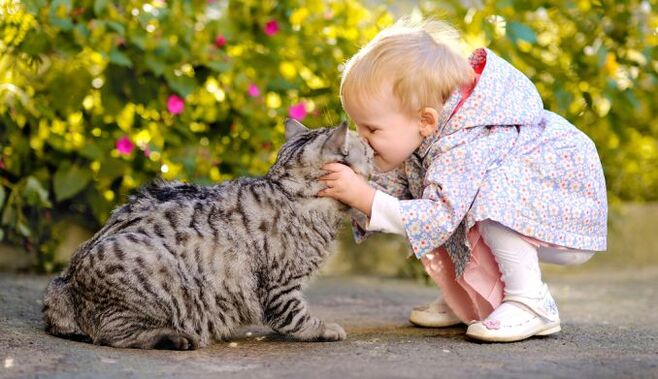 a child kisses a cat and gets worms